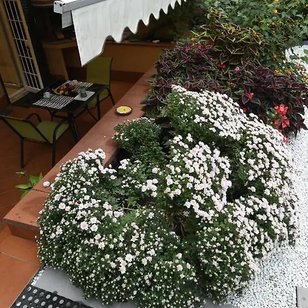 Il Giardino Nascosto *